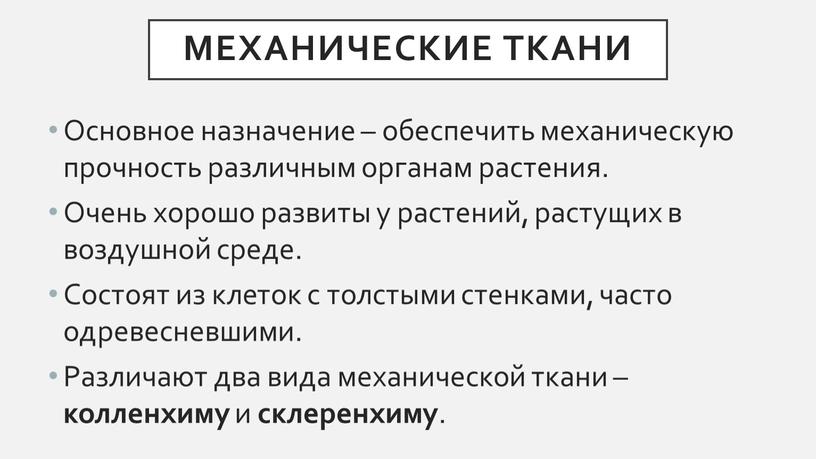 Механические ТКАНИ Основное назначение – обеспечить механическую прочность различным органам растения