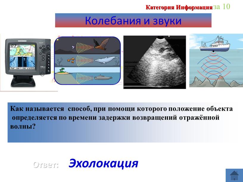 Ответ: Эхолокация Как называется способ, при помощи которого положение объекта определяется по времени задержки возвращений отражённой волны?