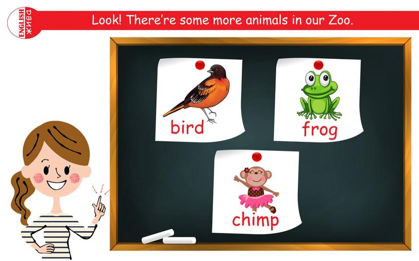 Презентация "Zoo.Animals."