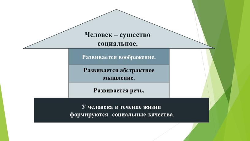 Развивается речь. Развивается абстрактное мышление