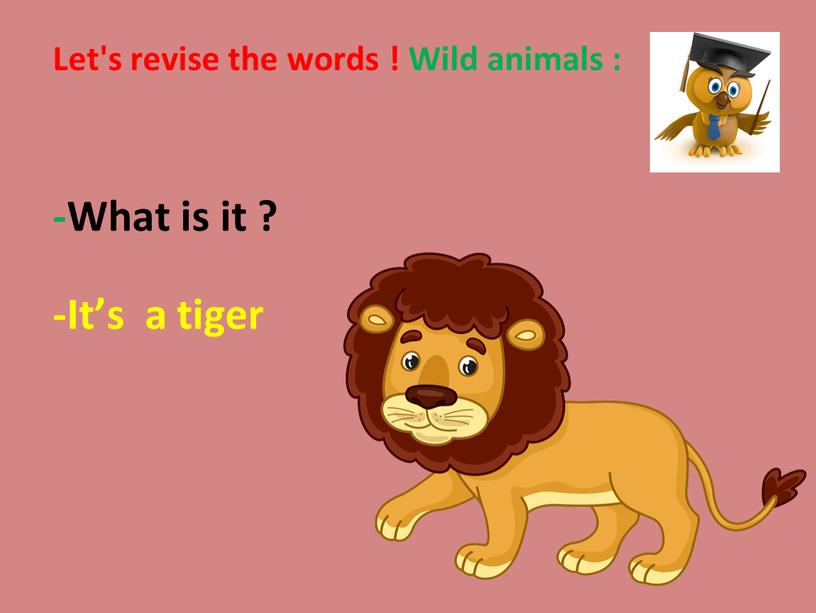 Let's revise the words ! Wild animals : -What is it ? -It’s a tiger