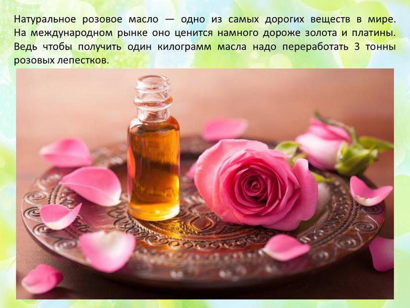 Натуральное розовое масло — одно из самых дорогих веществ в мире