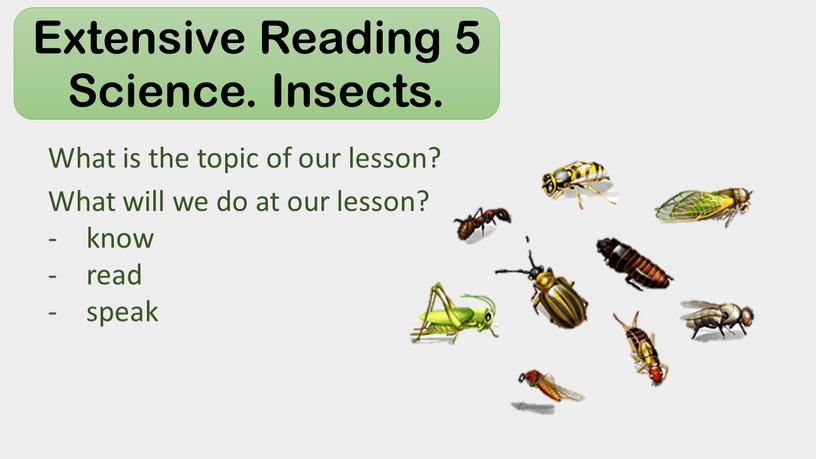 Extensive Reading 5 Science. Insects