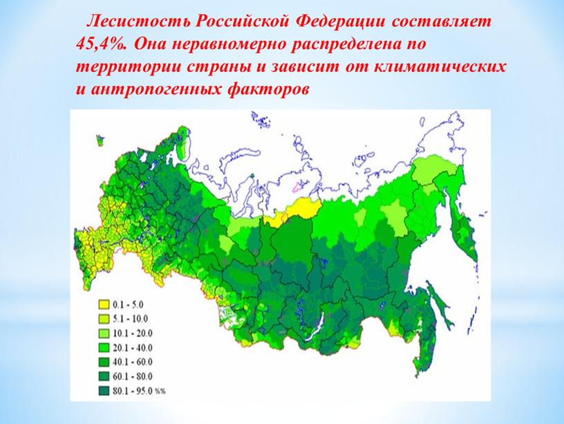 Лесистость Российской Федерации составляет 45,4%
