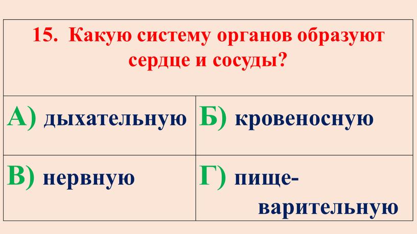 Какую систему органов образуют сердце и сосуды?