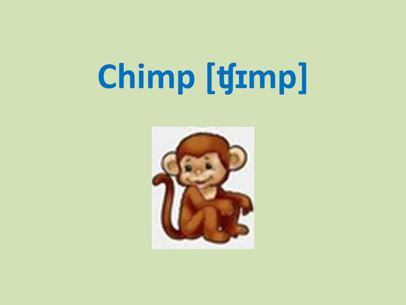 Chimp [ʧɪmp]