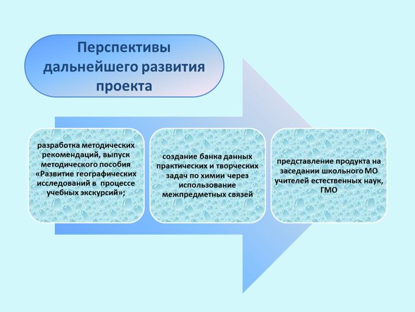 Перспективы дальнейшего развития проекта