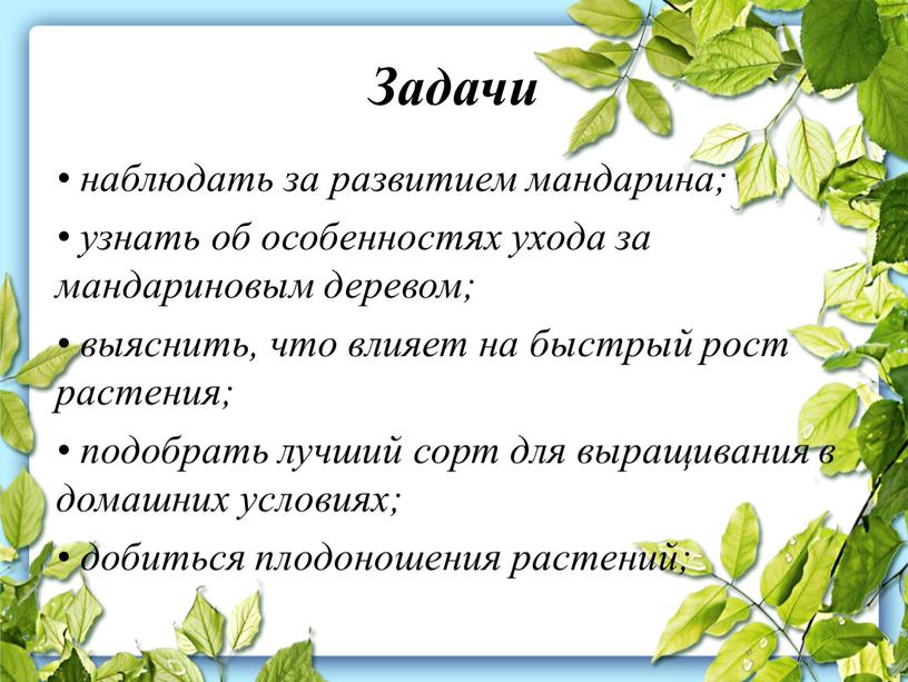 Задачи • наблюдать за развитием мандарина; • узнать об особенностях ухода за мандариновым деревом; • выяснить, что влияет на быстрый рост растения; • подобрать лучший…