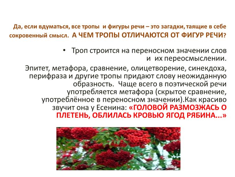 Да, если вдуматься, все тропы и фигуры речи – это загадки, таящие в себе сокровенный смысл