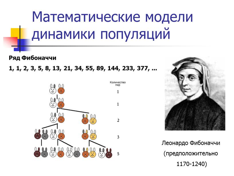 Математические модели динамики популяций