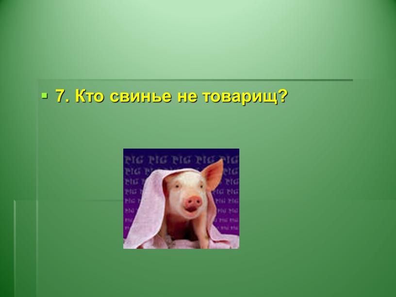 7. Кто свинье не товарищ?