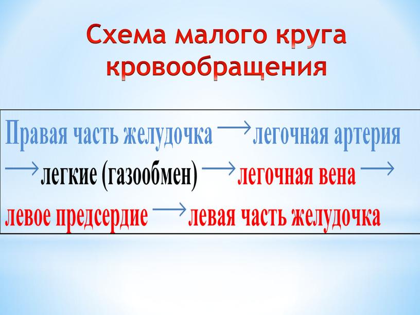 Схема малого круга кровообращения