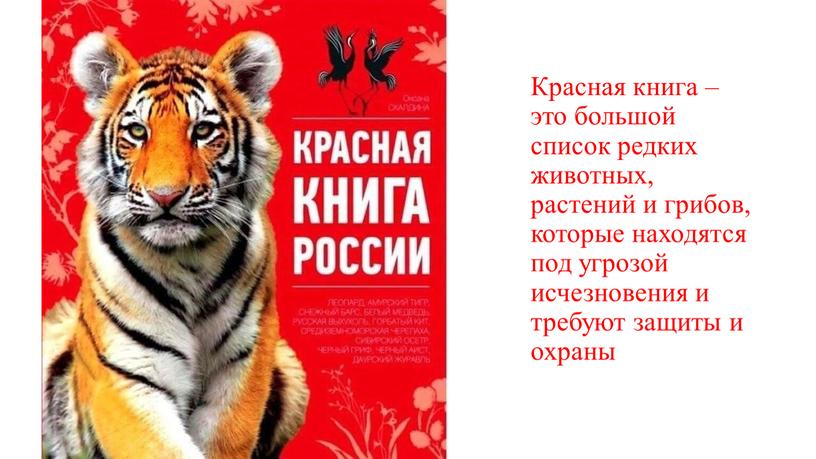 Красная книга – это большой список редких животных, растений и грибов, которые находятся под угрозой исчезновения и требуют защиты и охраны