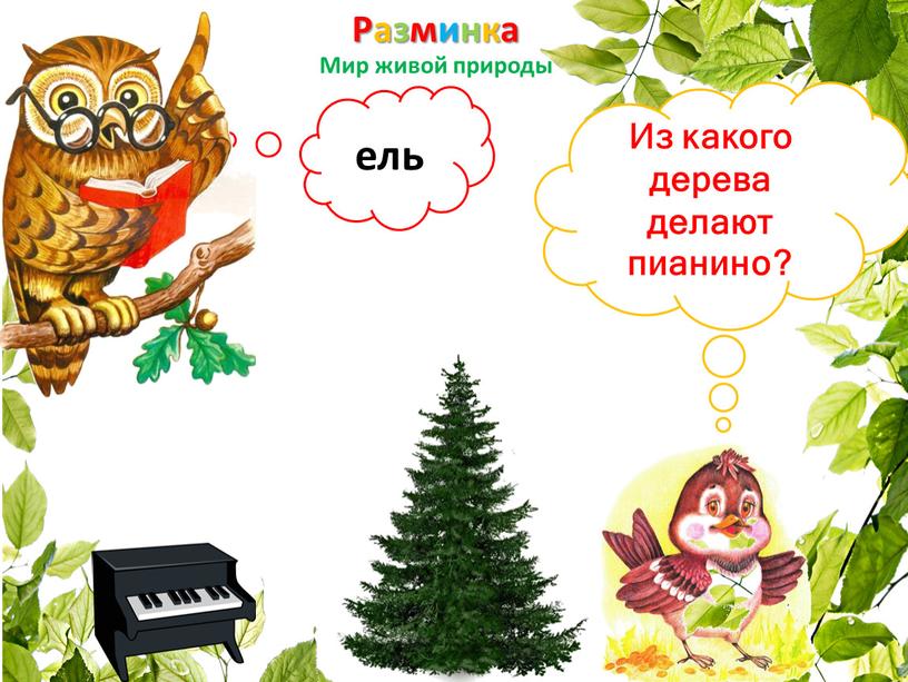 Разминка Мир живой природы Из какого дерева делают пианино? ель