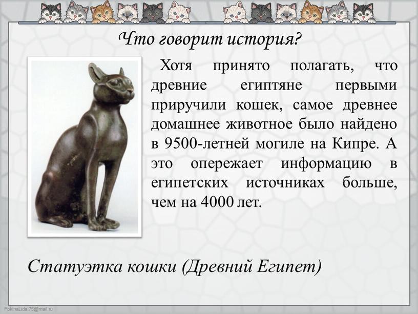 Что говорит история? Хотя принято полагать, что древние египтяне первыми приручили кошек, самое древнее домашнее животное было найдено в 9500-летней могиле на