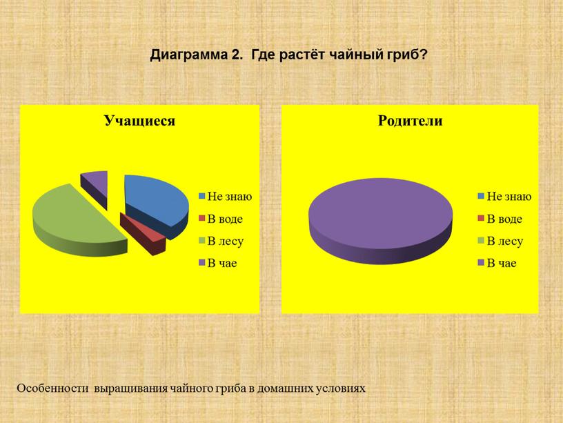 Диаграмма 2. Где растёт чайный гриб?