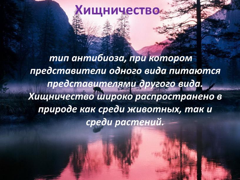 Хищничество тип антибиоза, при котором представители одного вида питаются представителями другого вида