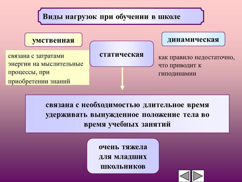 Виды нагрузок при обучении в школе умственная динамическая статическая связана с необходимостью длительное время удерживать вынужденное положение тела во время учебных занятий связана с затратами…