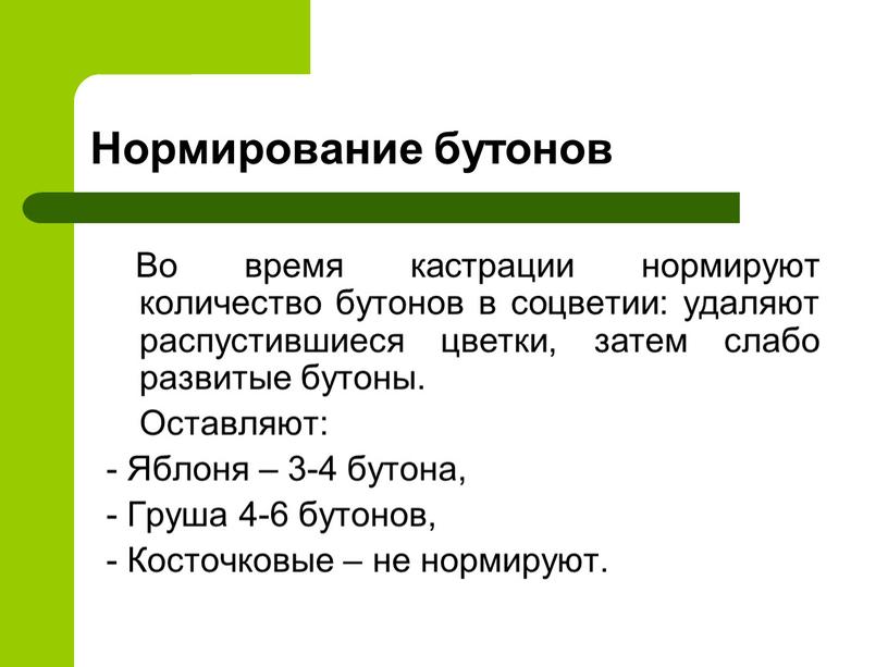 Нормирование бутонов Во время кастрации нормируют количество бутонов в соцветии: удаляют распустившиеся цветки, затем слабо развитые бутоны