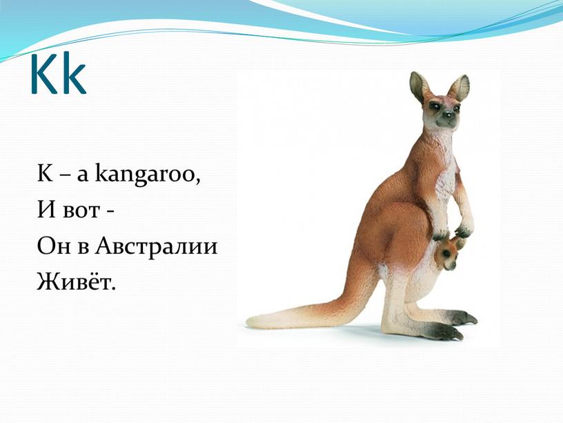 Kk K – a kangaroo, И вот - Он в