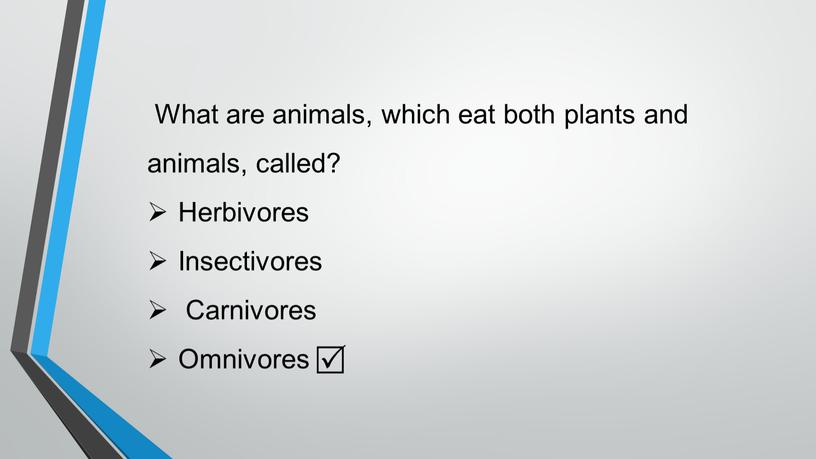 What are animals, which eat both plants and animals, called?