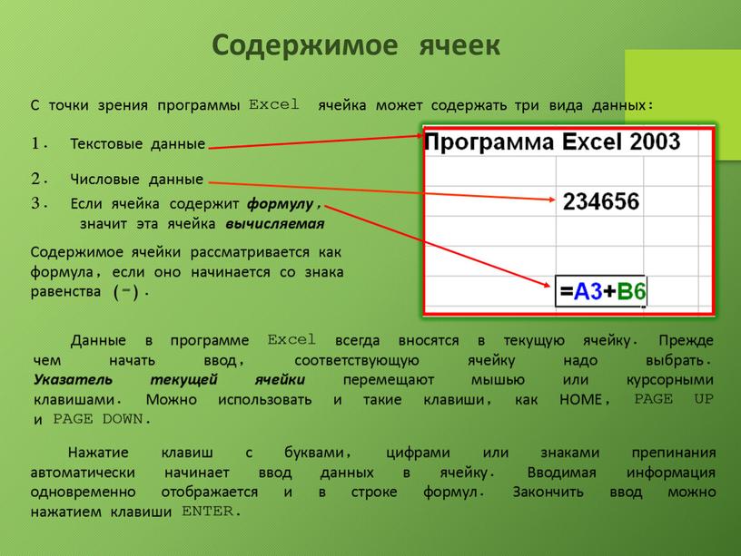 Содержимое ячеек С точки зрения программы