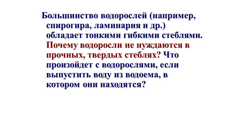 Большинство водорослей (например, спирогира, ламинария и др