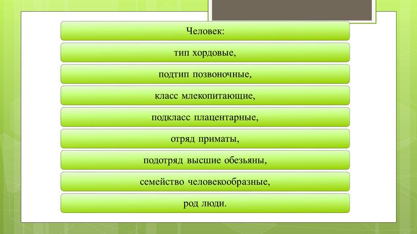 1. Систематика и разнообразие организмов