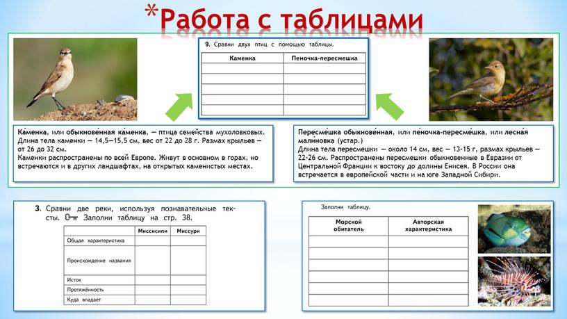 Работа с таблицами Ка́менка , или обыкнове́нная ка́менка , — птица семейства мухоловковых