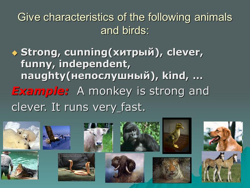 Give characteristics of the following animals and birds: