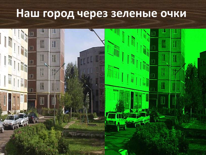 Наш город через зеленые очки