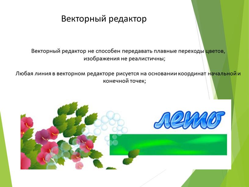 Векторный редактор не способен передавать плавные переходы цветов, изображения не реалистичны;
