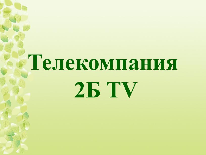 Телекомпания 2Б TV