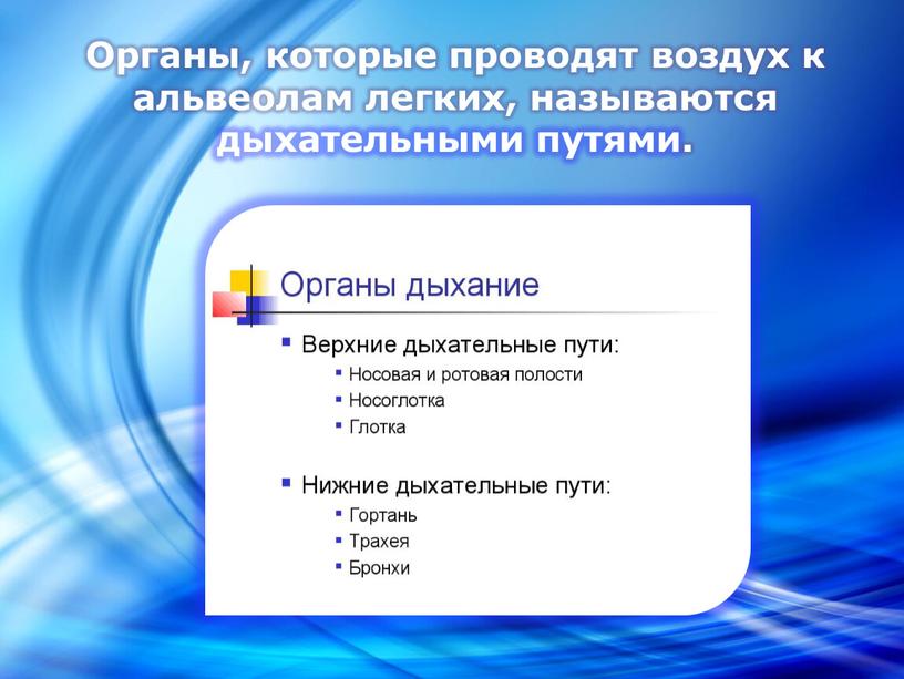 Носовая полость Строение: состоит из нескольких извилистых носовых ходов