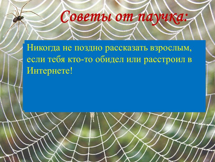 Советы от паучка: Когда ты регистрируешься на сайтах, никогда не указывай личную информацию (номер мобильного телефона, адрес электронной почты, домашний адрес, свое фото)