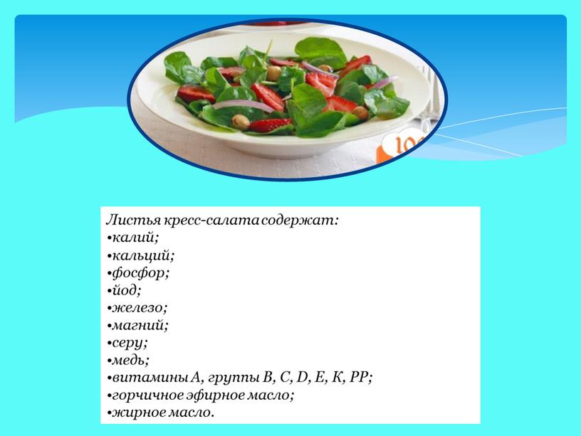 Листья кресс-салата содержат: калий; кальций; фосфор; йод; железо; магний; серу; медь; витамины