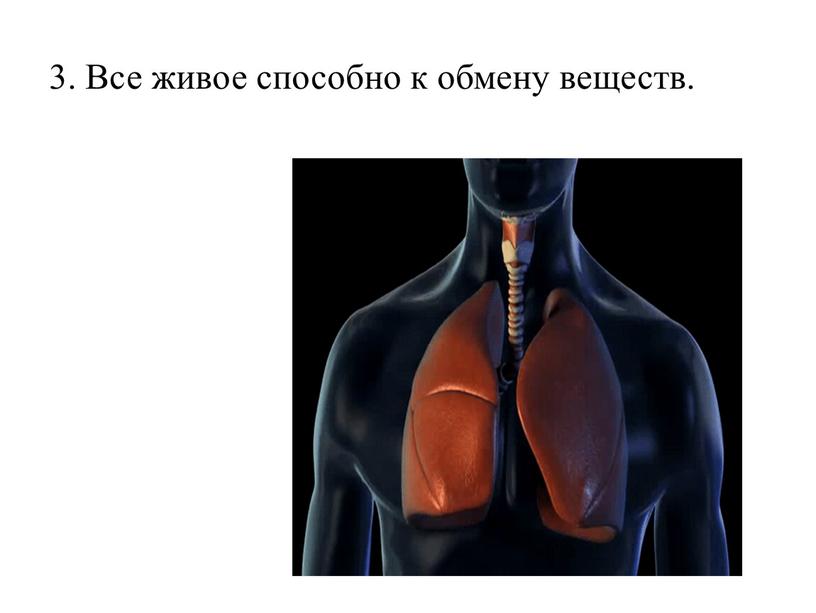 Все живое способно к обмену веществ