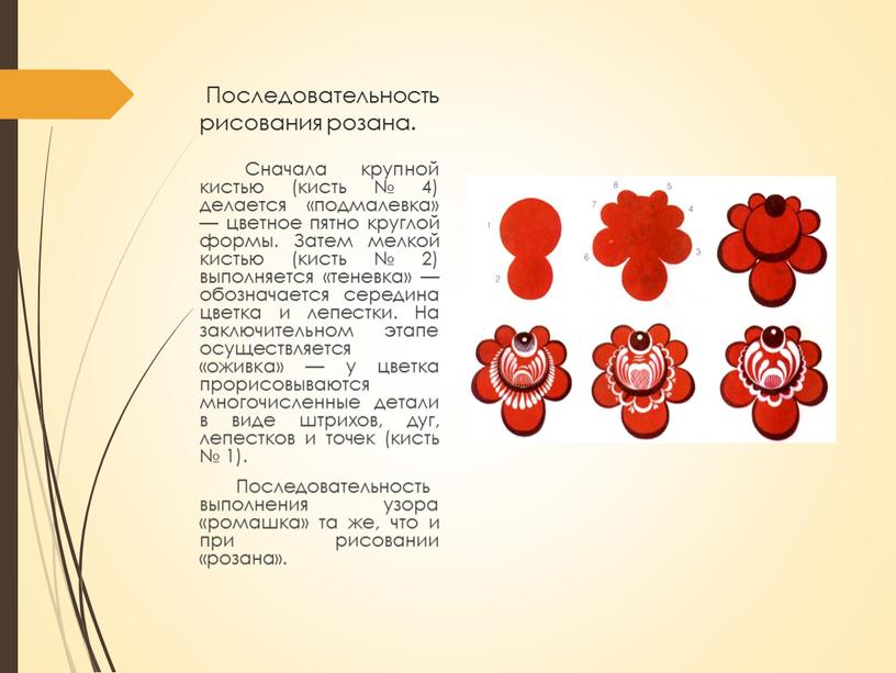 Последовательность рисования розана