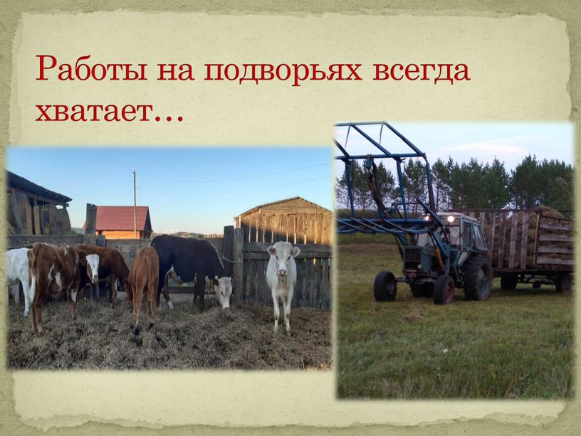 Работы на подворьях всегда хватает…