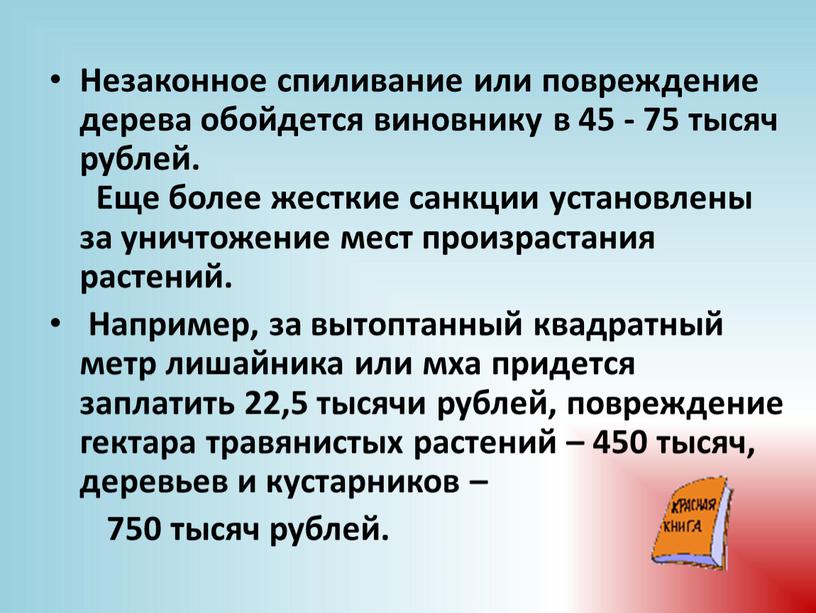 Незаконное спиливание или повреждение дерева обойдется виновнику в 45 - 75 тысяч рублей