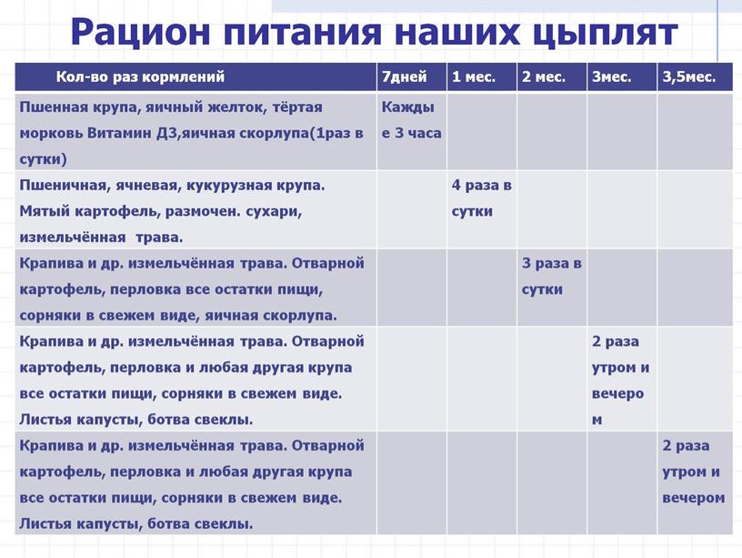 Презентация: «Выведение птицы семейства куриных в домашних условиях»