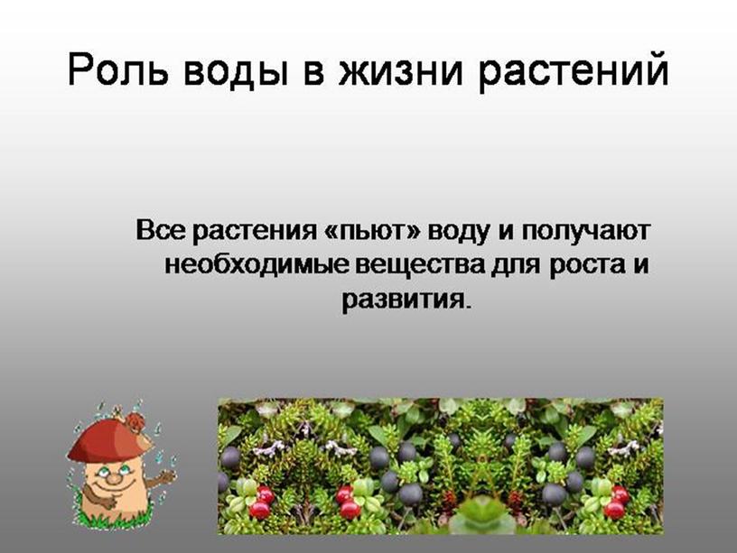 Презентация по окружающему миру по теме "Вода и ее свойства" (3 класс)