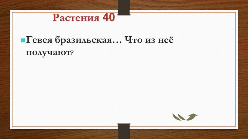 Растения 40 Гевея бразильская…