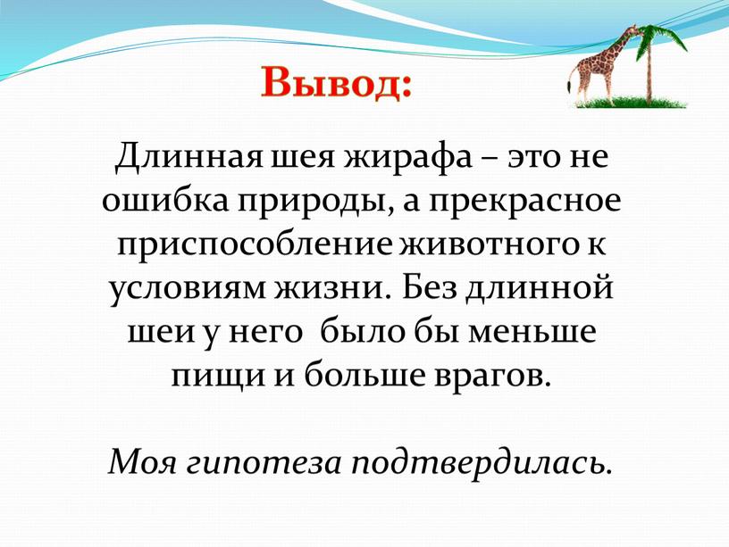 Вывод: Длинная шея жирафа – это не ошибка природы, а прекрасное приспособление животного к условиям жизни