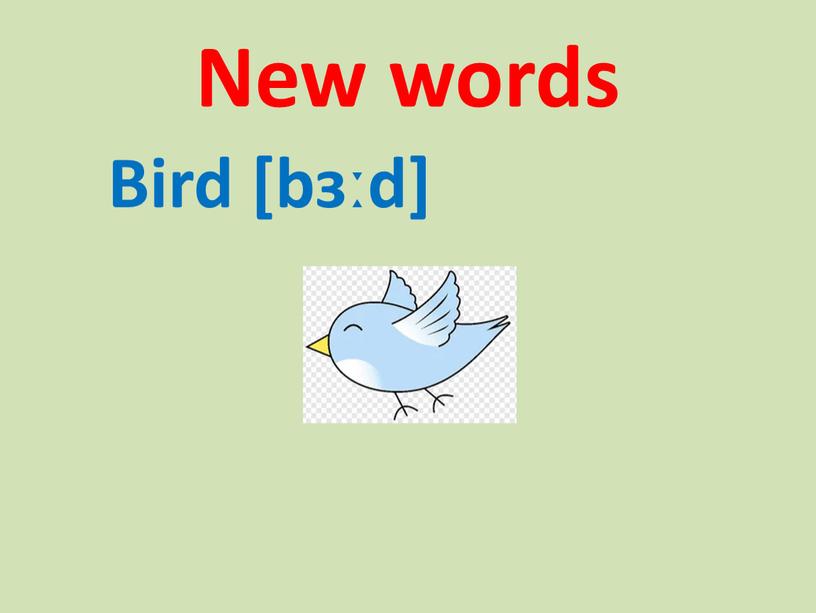 New words Bird [bɜːd]