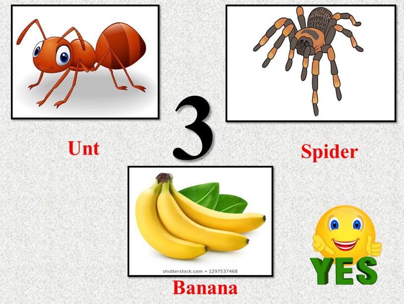 Unt Spider 3 Banana