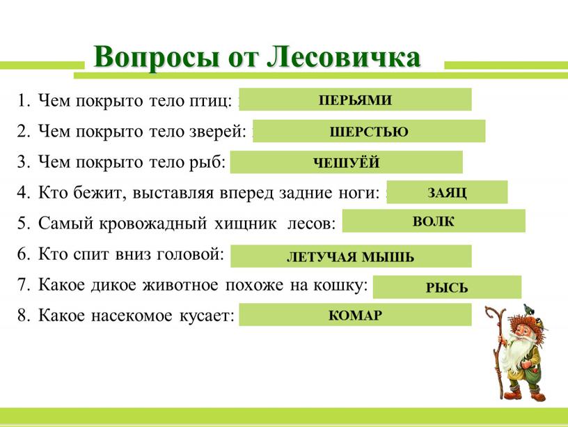 Вопросы от Лесовичка Чем покрыто тело птиц: перьями, чешуёй, шерстью?