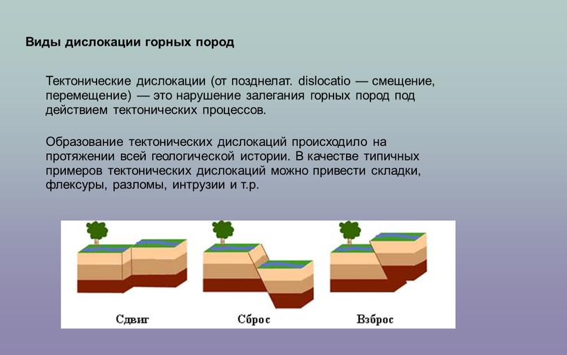 Виды дислокации горных пород Тектонические дислокации (от позднелат