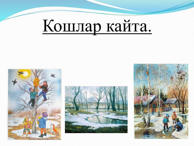 Кошлар кайта.