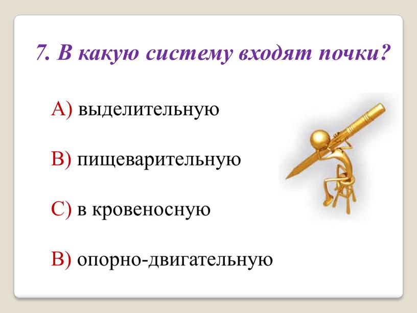 В какую систему входят почки? А) выделительную